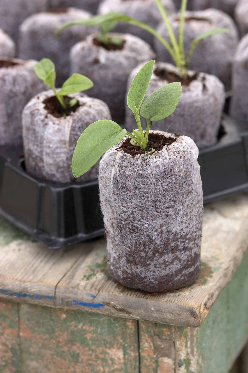 Coir Jiffy Pellet Tray Sets
