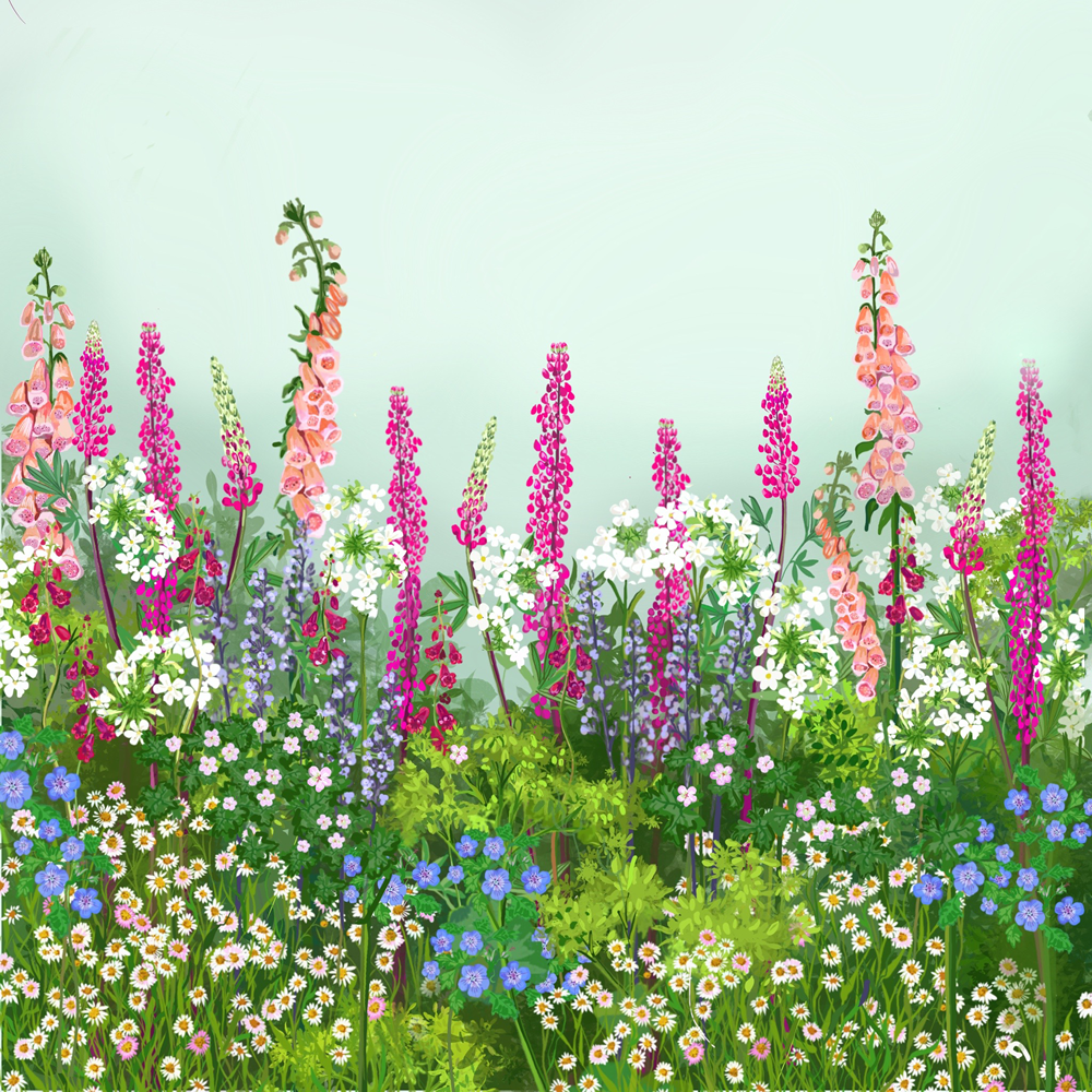 The Cottage Garden Border Collection