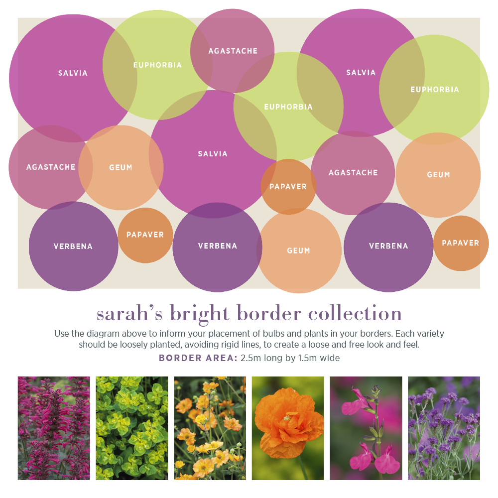 Sarah’s Bright Border Collection