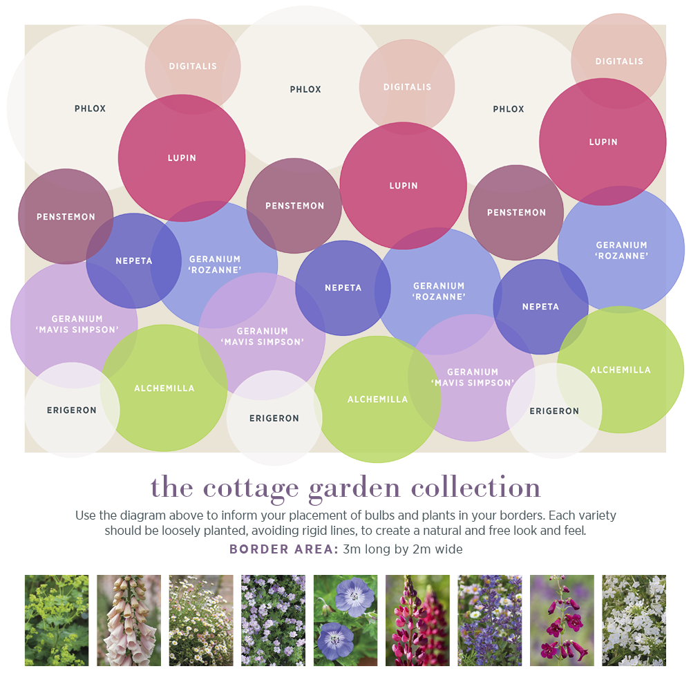 The Cottage Garden Border Collection