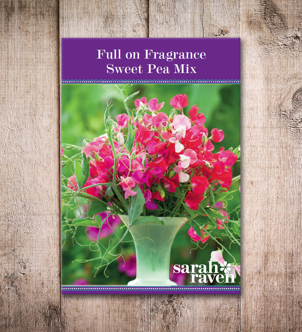 Full on Fragrance Sweet Pea Collection
