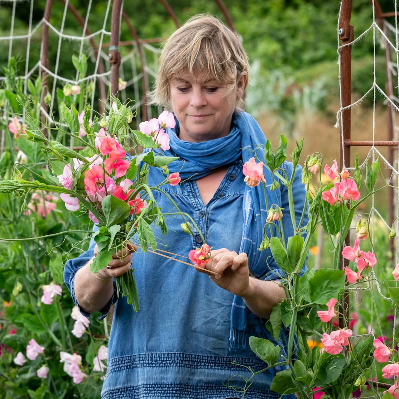 June and July Open Days