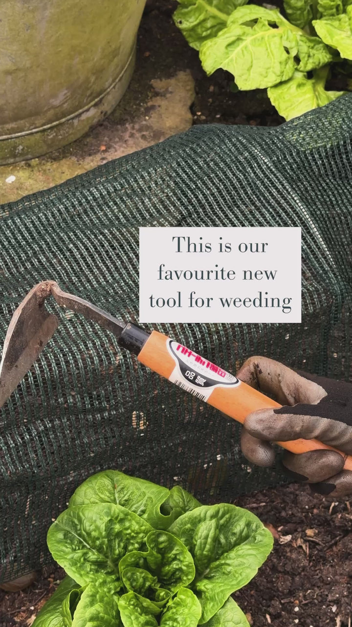 Japanese Weeding Hoe
